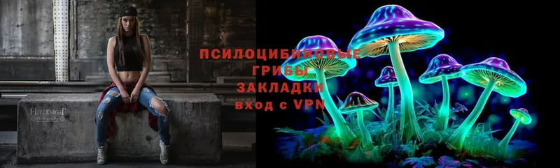 Псилоцибиновые грибы Magic Shrooms  Данков 